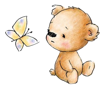 bear-butterfly